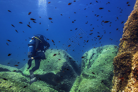 在蓝海中潜水 周围是红鱼潜水员热带野生动物水族馆探险家旅行假期生态冒险荒野图片