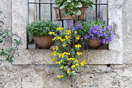 装饰着花朵的意大利窗口蓝色快门古董石头玻璃国家植物村庄风格花园图片