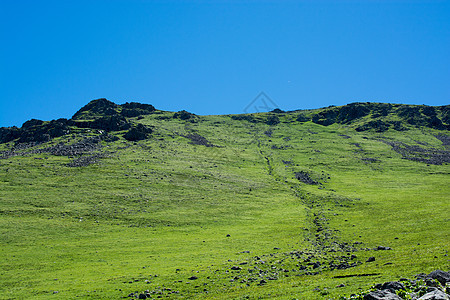 高地草原上的野草 夏季在阿尔特文场地农村美丽绿色季节植物群丘陵国家环境地球图片