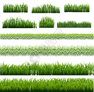 Bigset 绿草边框背景白背景绘画草架草地土地花园植物收藏叶子剪贴树叶图片