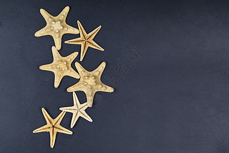 黑底五头海星的顶端景色黑色海滩星星蓝色黄色假期宏观星号团体海洋图片