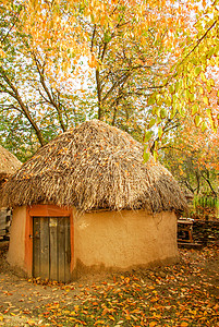 传统的乌克兰农村小屋 有稻草屋顶国家农场建筑花园村庄木头甘蔗地标旅行天空图片