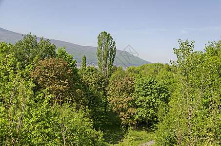 南部公园和维托沙山混合森林的春季风景与春季自然景观Vitosha山衬套空地国家公园环境农村季节荒野远足木头图片