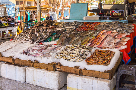 显示在红海捕鱼的不同鱼的外观鹦鹉自助餐美食餐饮海鲜零售厨师人群食物摊位图片
