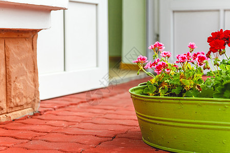 室内外的装饰 粉红色和红色的用金属g建筑学窗户花盆旅行花朵植物建筑花园绿化庭院图片