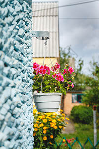 房子外的装饰品 粉红色的翡翠 在挂在花盆上建筑学入口花园植物蓝色住宅石头窗户花朵旅游图片
