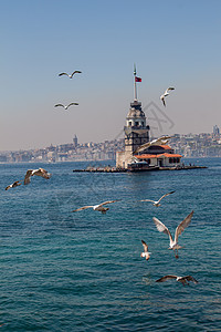 伊斯坦布尔海鸥和少女塔少女们鸟类历史火鸡旅行旅游地标图片