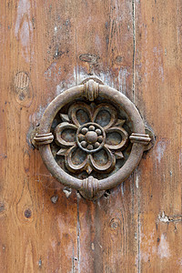 古意大利式门把手乡村装饰青铜木头狮子建筑棕色危险橙子入口图片
