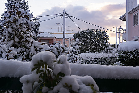 冬季院 有下雪树房子季节性建筑邻里天空住宅季节后院院子降雪图片