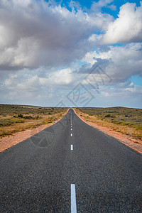 日落时 白蚁沿着西澳大利亚靠近埃克斯茅斯的空旷道路爬上图片