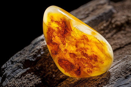 天然琥珀 黄色不透明的天然琥珀 在大片黑石头木头上珠子材料宝石宏观珠宝太阳石化石黄油矿物分层图片
