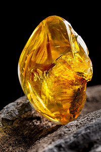 天然琥珀 黄色透明的天然琥珀 在大片黑石头木头的一块上珠宝抛光宏观琥珀色宝石反射珠子化石蜂蜜材料图片