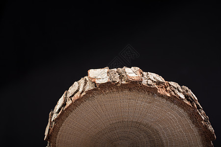 小块切木原木戒指木工生活木头木片活力植物环境树干季节图片