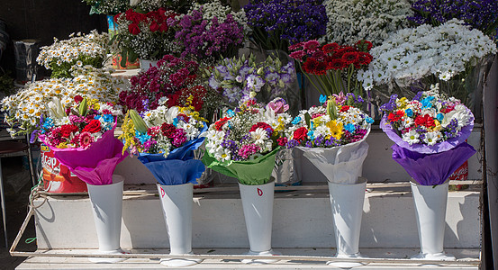各种美丽的花朵种类繁丽场地园艺草地花瓶花园季节陶器礼物环境植物群图片