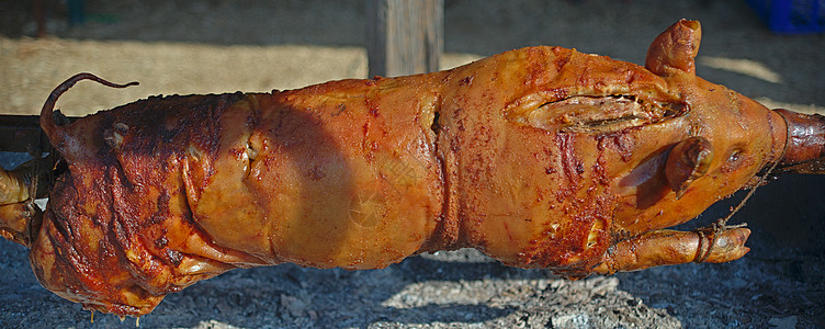 猪五花肉整头猪在野火中烧烤背景