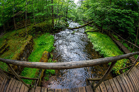 森林有河流 木桥和小屋天桥旅游植物环境木头荒野树木场景冒险花园图片