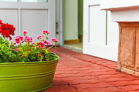 室内外的装饰 粉红色和红色的用金属g旅游旅行入口窗户花盆植物园林住宅石头花园图片