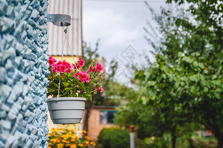 房子外的装饰品 粉红色的翡翠 在挂在花盆上入口旅行旅游植物绿化花园庭院建筑建筑学窗户图片