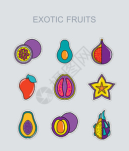 异国情调的水果图标 se插图荔枝食物热带木瓜热情图片