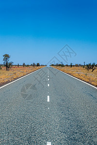 长长的空旷道路对称标志 澳大利亚穿过通往地平线的热带草原景观图片