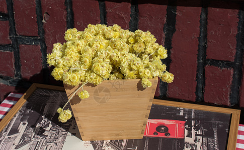 令人惊叹的七彩干花在竞争中庆典花园礼物卡片花瓣季节植物群植物学园艺植物图片