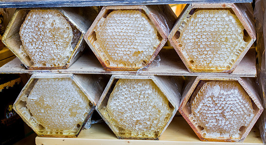 密封梳架中的新鲜蜂蜜蜂窝药品收成生物学养蜂业蜂蜡花粉食物蜜蜂养蜂人图片