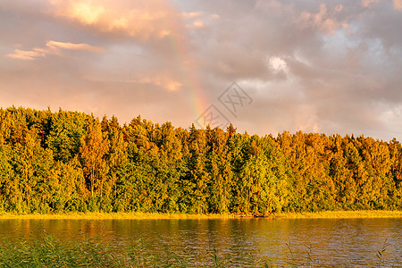 夏天日落时在湖上和森林上的彩虹天空风景海滩橙子天气反射光谱风暴场景蓝色图片