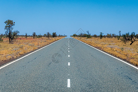 长长的空旷道路 在澳大利亚有对称标志 穿过通往地平线的热带草原景观图片