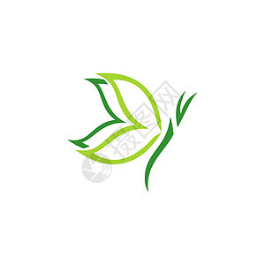 自然天然美叶蝴蝶树果徽标 概念PaSPa 符号符号图标矢量设计图片
