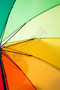 雨伞特写绿色的白色的高清图片