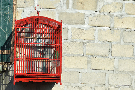 笼子里的鸟鹦鹉羽毛宠物古董监狱自由栅栏翅膀休息俘虏图片