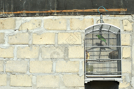 笼子里的鸟黄铜俘虏羽毛古董航班金属宠物动物入口鹦鹉图片