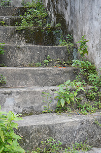 光滑的混凝土楼梯和苔藓通道岩石阴影人行道建筑小路石头法庭入口地面图片