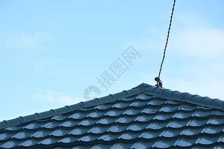 蓝色屋顶瓦片的样式控制板材料床单建筑学建造平铺墙纸瓷砖风化盘子图片