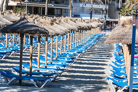 伞和太阳护晒员排成一行阳伞海景团体旅游休息室椅子太阳椅海洋海滩闲暇图片