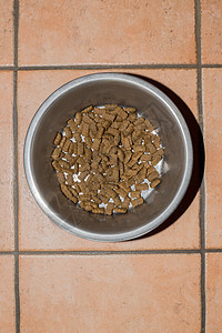 碗由不锈钢制成 配狗粮金属犬类饮食小吃食欲盘子棕色食物动物图片