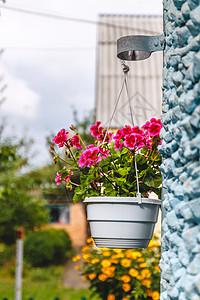 房子外的装饰品 粉红色的翡翠 在挂在花盆上花朵庭院植物旅行建筑学窗户蓝色建筑住宅旅游图片