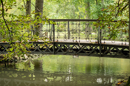 在公园的一条河上架桥木头溪流国家花园树木小路叶子植物草地生态图片