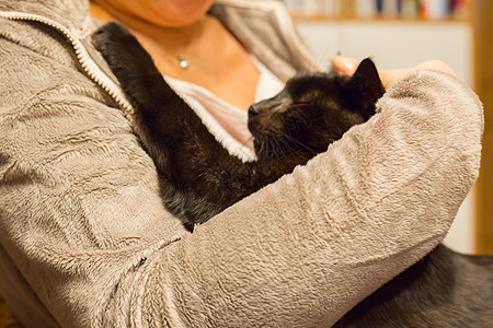 女人握着放松的猫在手臂上猫科尾巴毛皮鼻子猫咪头发虎斑晶须哺乳动物耳朵图片
