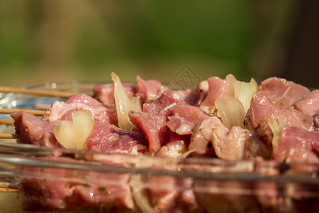 烧烤前生肉切片传统美食午餐盘子牛肉炙烤食物野餐烹饪洋葱图片