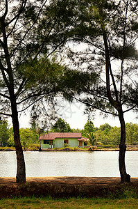 池塘旁的房子叶子天空衬套建筑学旅游反射树木植物晴天花园图片