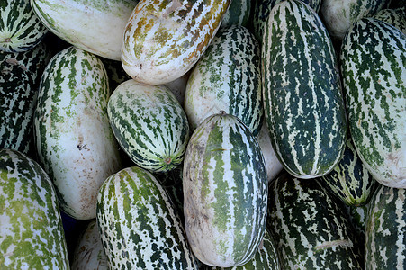 坎塔罗普水果重量产品热带蔬菜饮食食物生产养分甜点种子图片