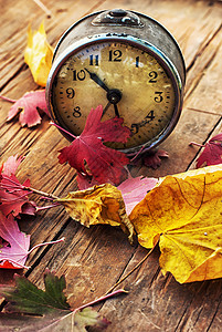 秋余生金属手表古董红色苏醒橙子叶子日光钟表时间图片