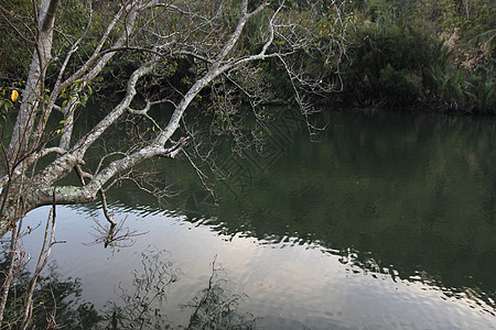 卡拉贾河溪流池塘沙龙爬坡旅行对价季节森林土地生态图片
