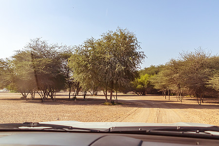 通往阿拉伯联合酋长国阿布扎比Bani Yas岛的Safari Park公路公园天空先生气候小路旅行地平线动物蓝色国家图片