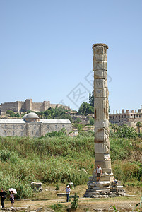 Ephesus附近的阿耳特弥斯寺址石头古董宗教考古历史火鸡建筑学废墟旅游白色图片