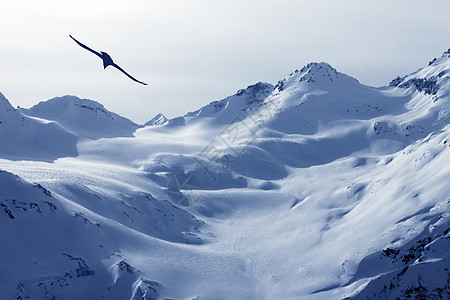 埃尔布鲁斯山欧洲最高点的视图太阳天空冻结山峰爬坡晴天旅游闲暇荒野登山图片