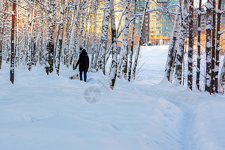 女孩和狗一起在冬季雪覆盖的城市公园散步远足雪堆公园行动城市漂移远足者天气女士女性图片