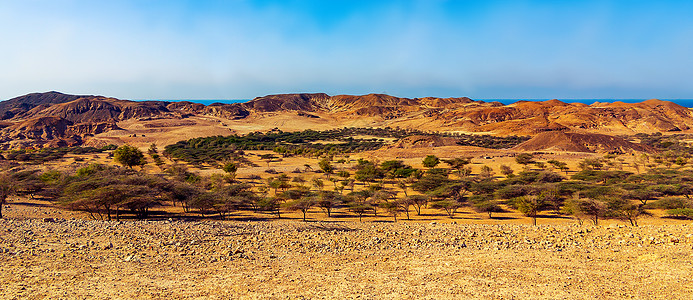 阿拉伯联合酋长国阿布扎比萨巴尼亚斯岛国家公园盐丘全景图片