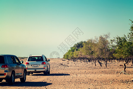 通往阿拉伯联合酋长国阿布扎比Bani Yas岛的Safari Park公路汽车小路蓝色沙漠野生动物动物公园先生荒野气候图片